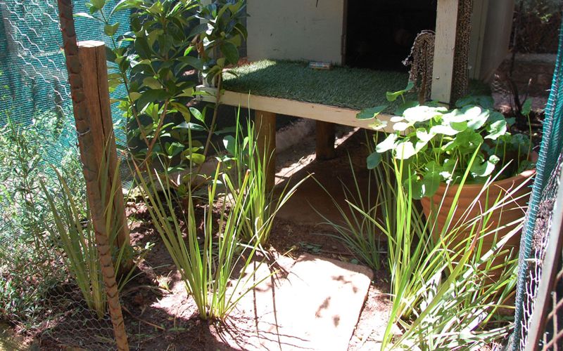 Standard garden villa planting
