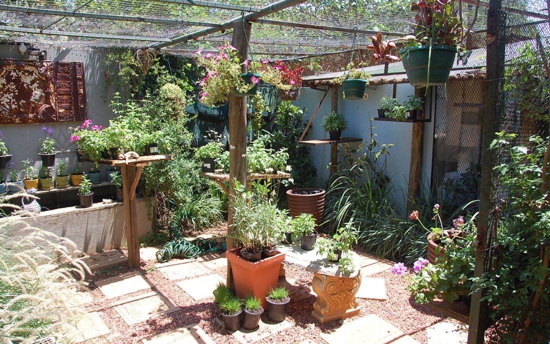 The play area at The Cat Hotel