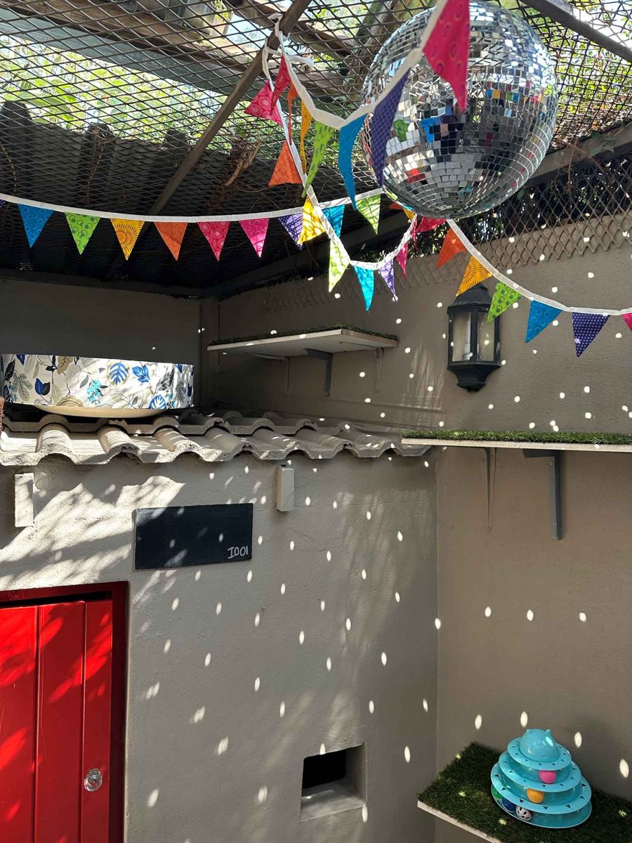 Deluxe Indoor Villa with disco ball and bunting