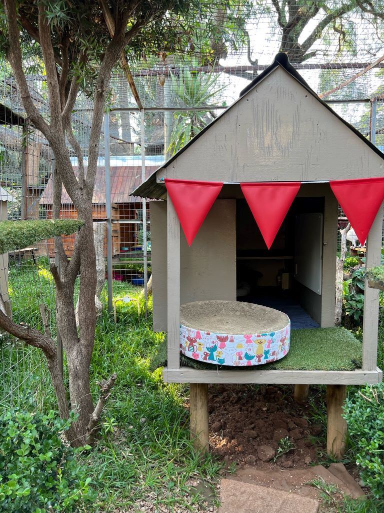 A Standard Garden Villa on stilts with red bunting