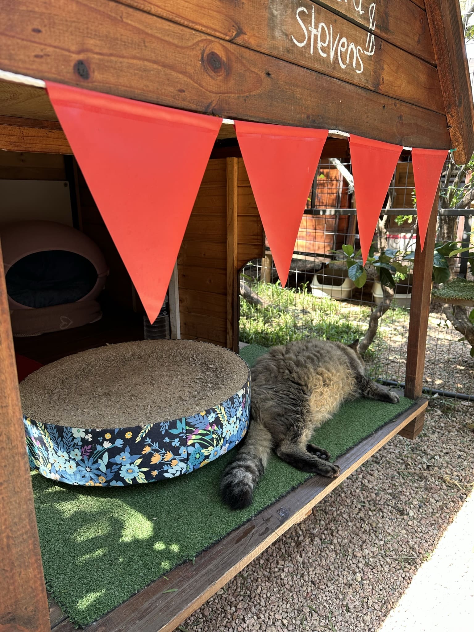 Cat Hotel and Cattery - Deluxe Garden patio