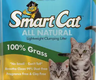 The Cat Litter used by the Cat Hotel