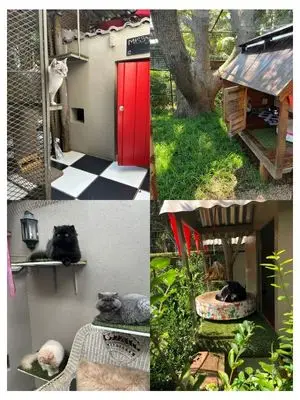 Four villa types at the Cat Hotel