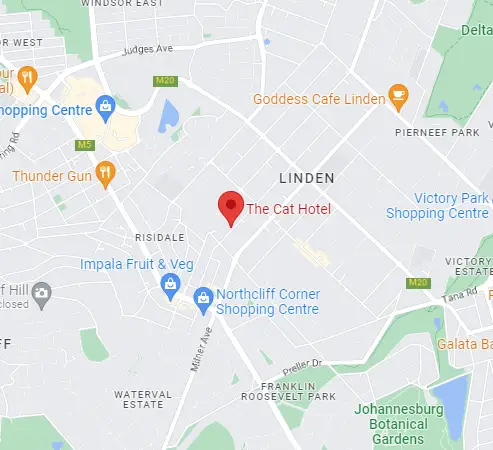 The Cat Hotel location