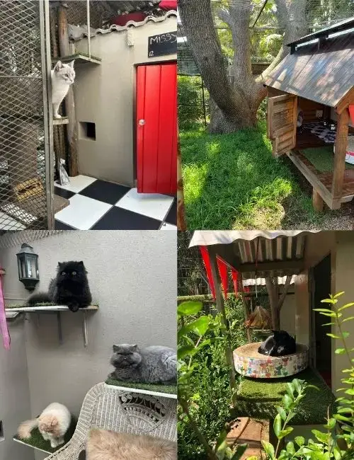 Linden Cat Hotel features - Four villa types
