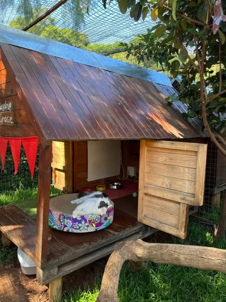 Linden Cat Hotel - Features - Panel Heaters