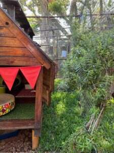 The Cat Hotel - Deluxe Garden Villas 37