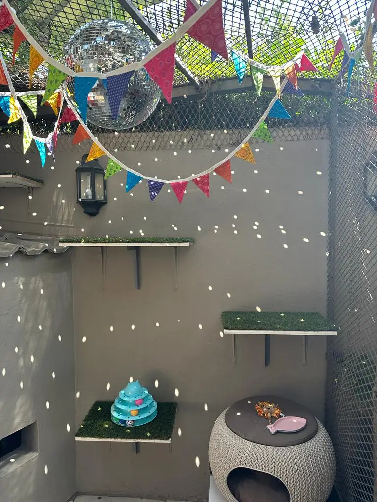 The Cat Hotel - Deluxe Indoor Villa