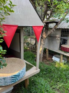 The Cat Hotel - Standard Garden Villas 04