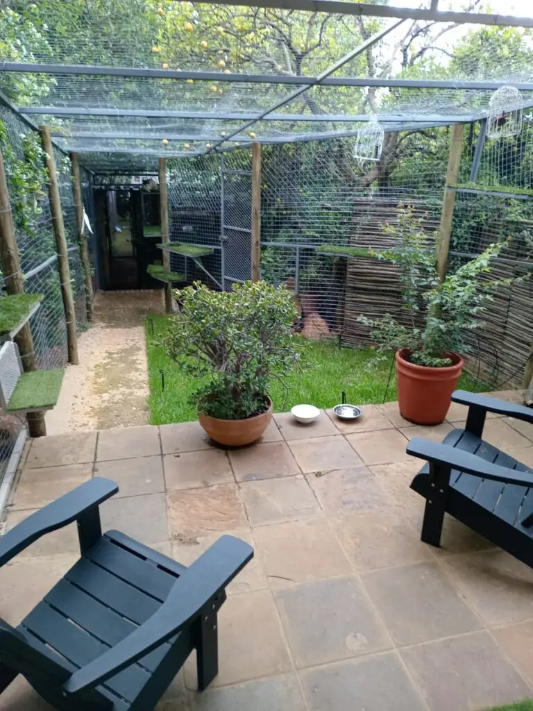 The Cat Hotel & Cattery - Air Conditioned Pods - Large indoor/outdoor play areas